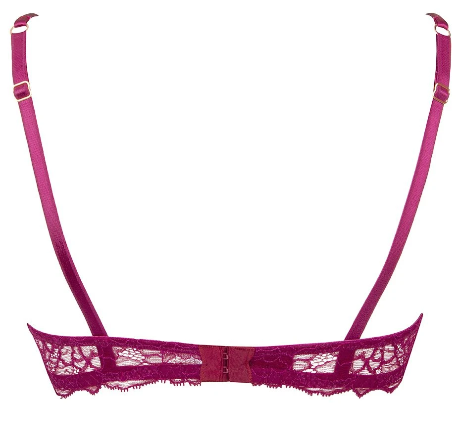 Halbschalen BH SUBLIME EN DENTELLE Von Lise Charmel – Bild 4